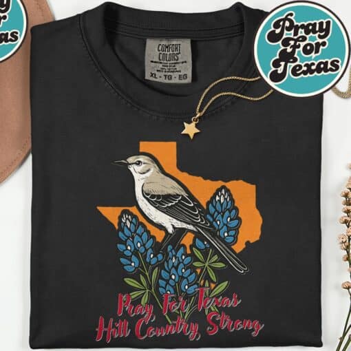 Pray for Texas Hill Country Bird Bluebonnet Stay Strong TX T-Shirt - Image 5